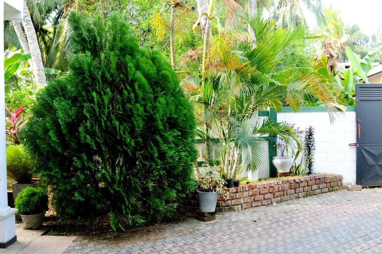 Myr-O Homestay Kombichankulama Exterior photo